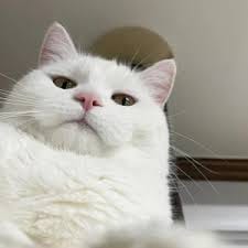 Nguyễn Thị Hương avatar